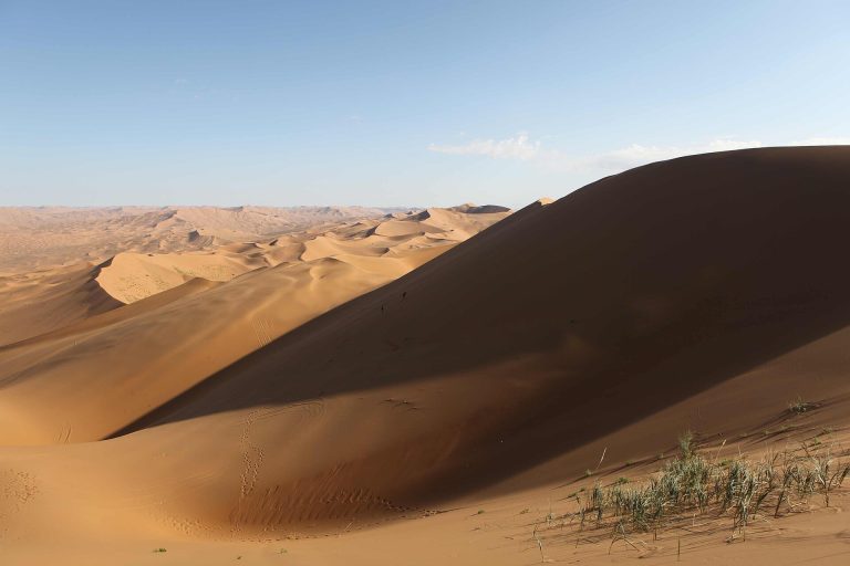 Désert de Gobi, Mongolie